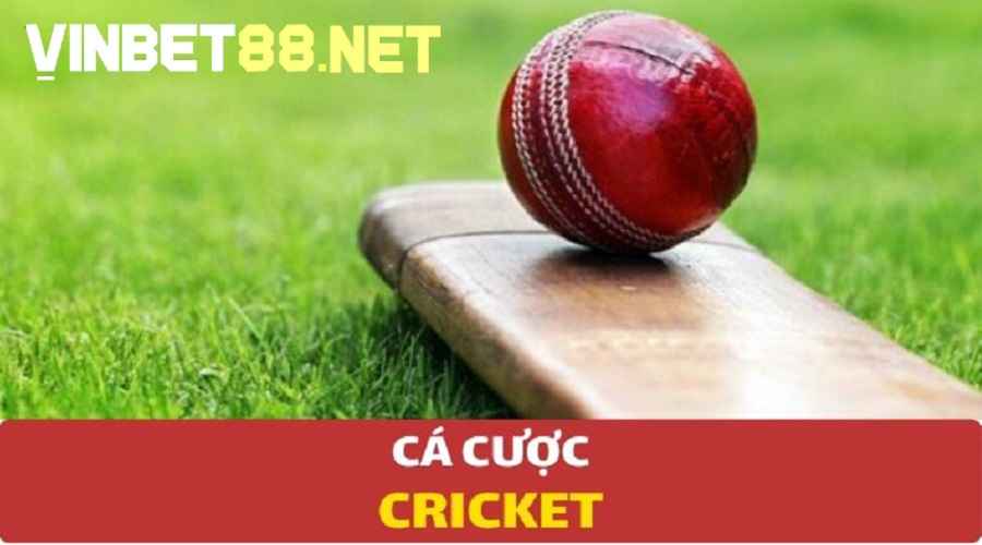 Cá cược Cricket có nhiều hình thức kèo khác nhau