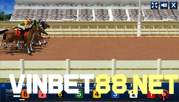 Cược ba con ngựa đầu tiên có độ khó cao