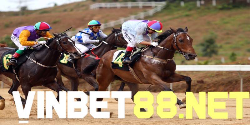 Kèo cược Show đua ngựa được nhiều bet thủ lựa chọn