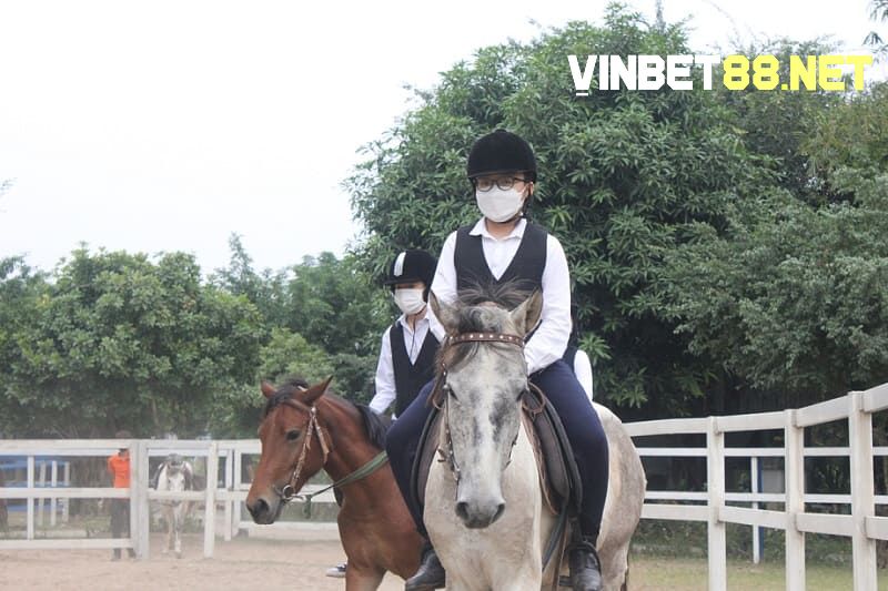 Cần phải làm quen và hiểu được tâm lý của ngựa trước khi cưỡi ngựa