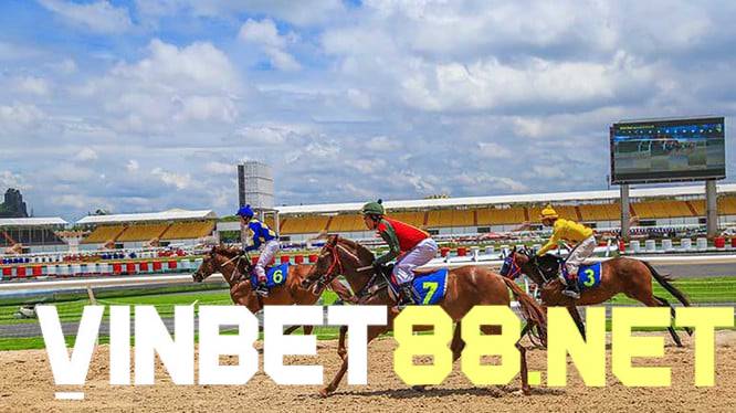 Odds là các thuật ngữ trong đua ngựa quen thuộc chỉ tỷ lệ cược nhà cái đưa ra trước trận đua ngựa