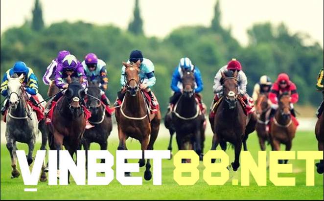 Các thuật ngữ trong đua ngựa: Finish Line chính là điểm kết thúc cuộc đua ngựa chuyên nghiệp