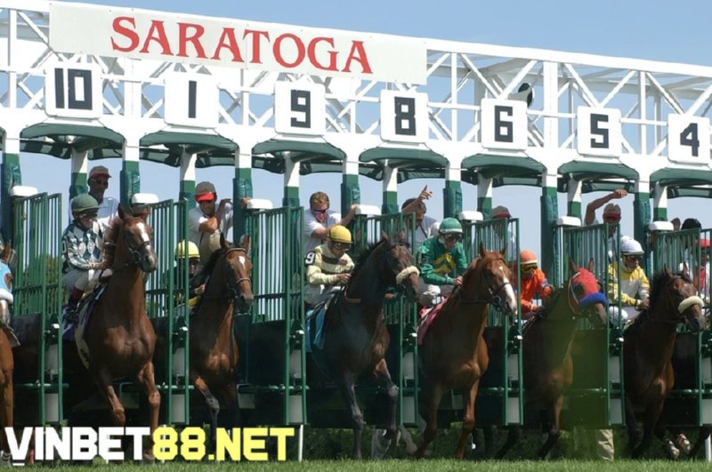 Trường đua ngựa Saratoga có sức chứa khoảng 50.000 người.