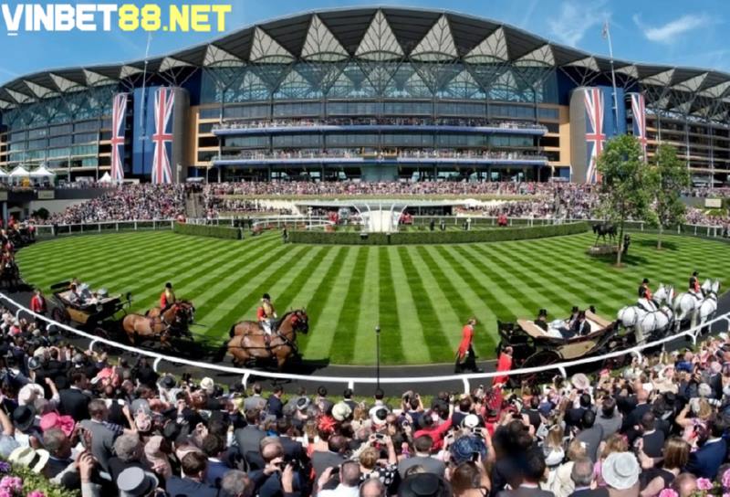 Ascot là trường đua cho giới quý tộc ở Anh.