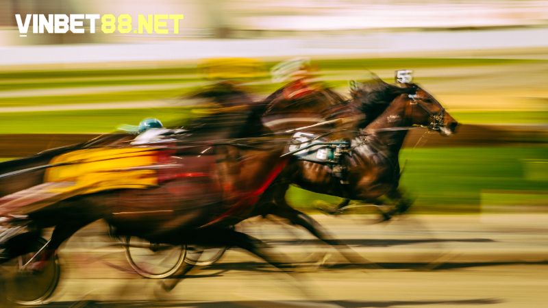 Tỷ lệ cá cược đua ngựa ảnh hưởng đến lượng tiền thưởng mà bạn nhận được