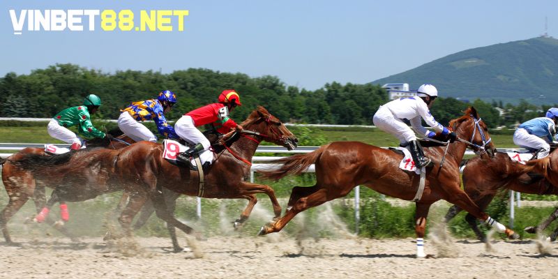 Các thuật ngữ trong cá cược đua ngựa khác