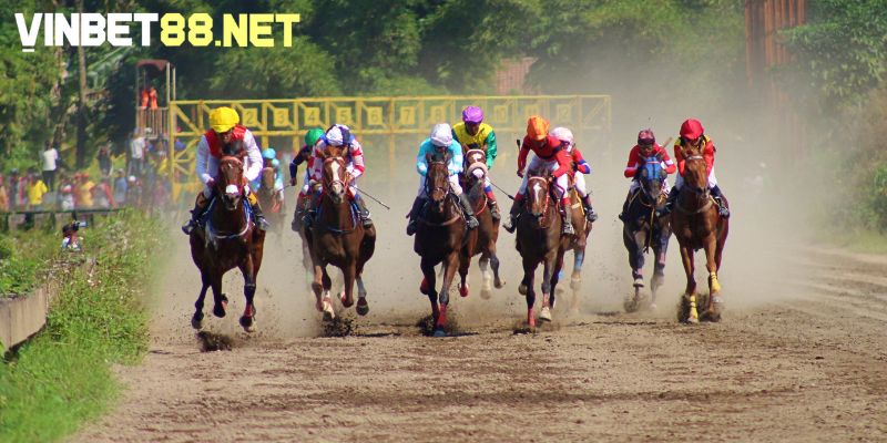 Tổng quan về cá cược đua ngựa