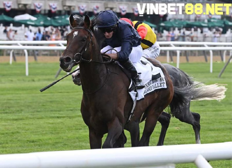 Nhiều người đặt tên ngựa đua theo vần điệu, âm nhạc