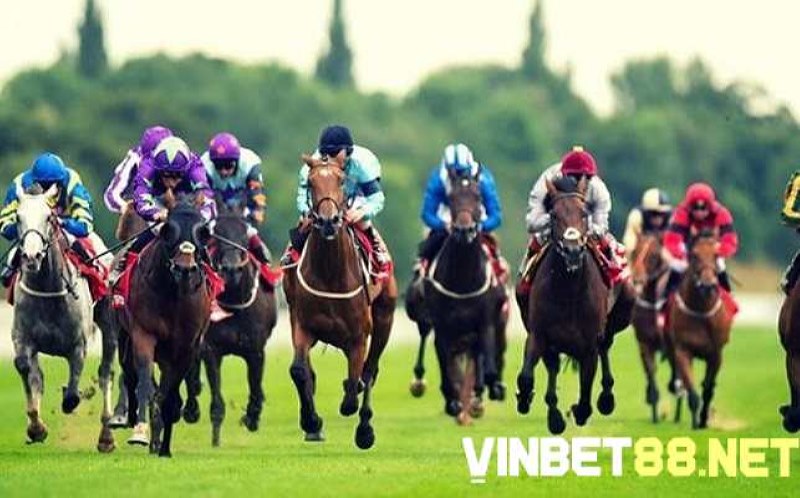 Ưu tiên cách đặt tên cho ngựa đua ngắn gọn và nhớ dễ