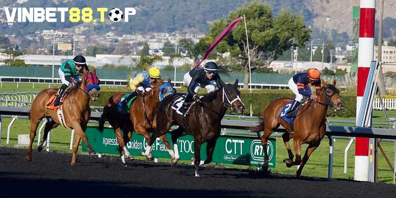 Đua ngựa là bộ môn thể thao được nhiều người yêu thích