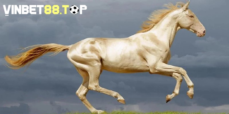 Thị trường ngựa đua ảnh hưởng đến giá bán